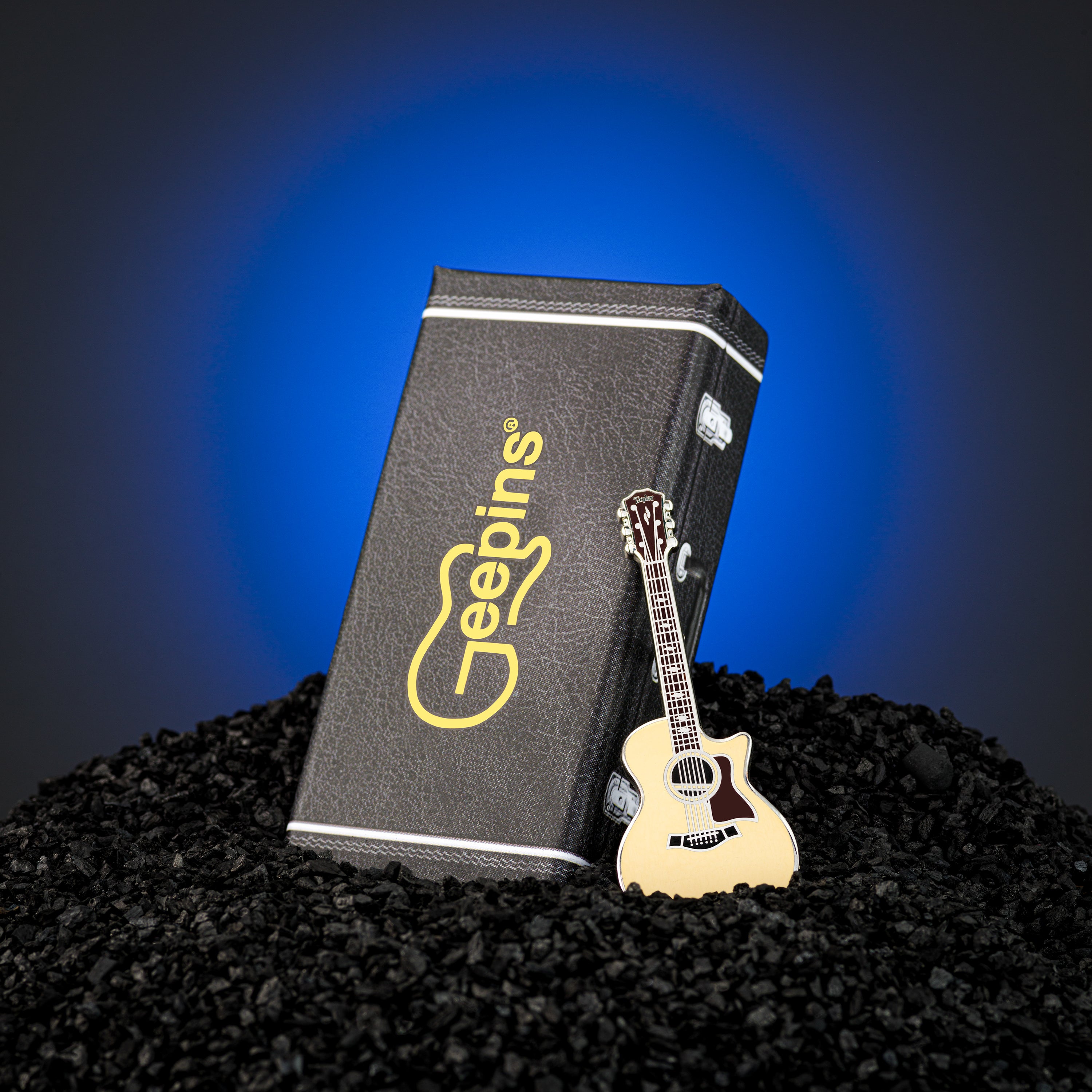 Geepin Taylor Guitar Pin