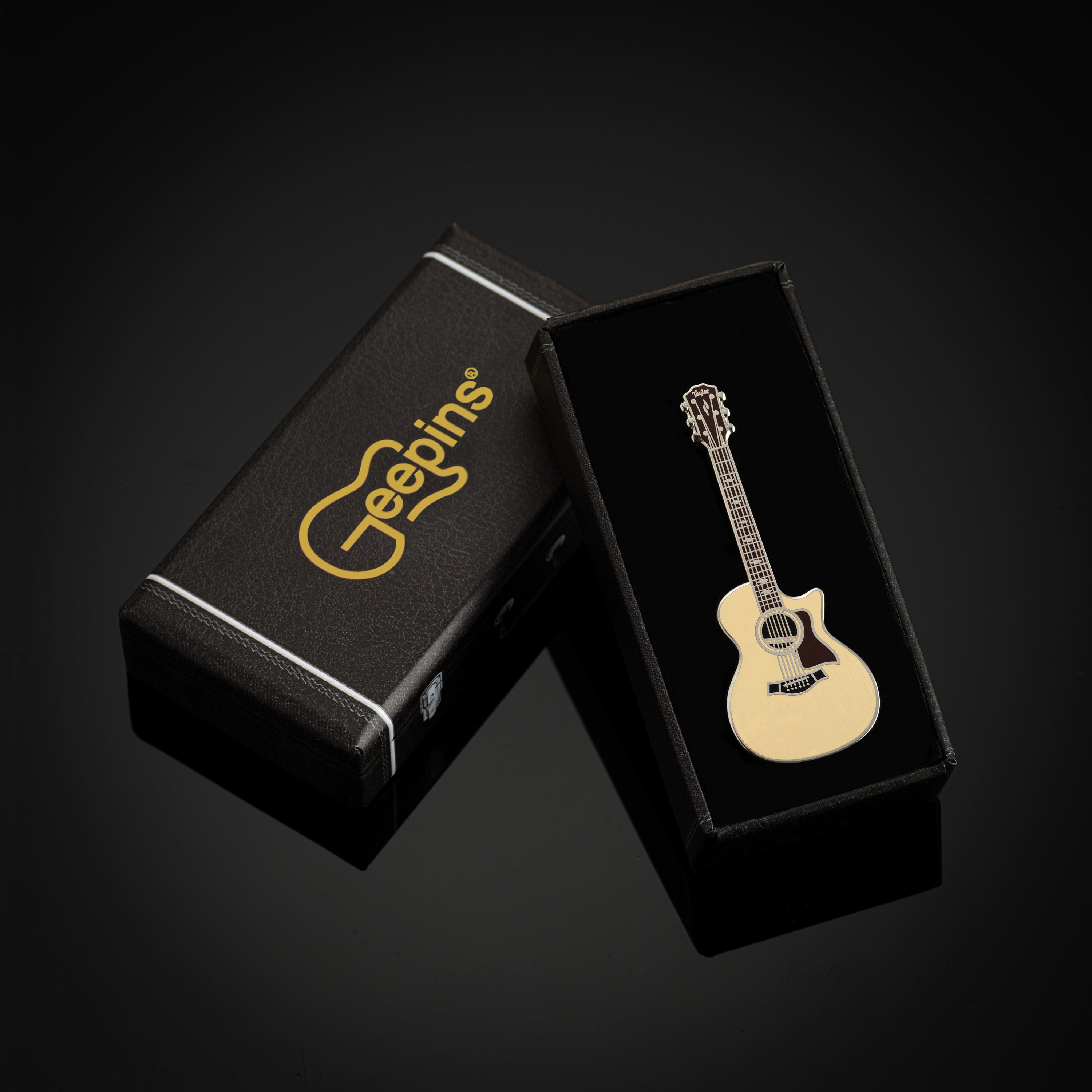 Geepin Taylor Guitar Pin